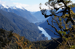 Vehicle road access hovering over the ground